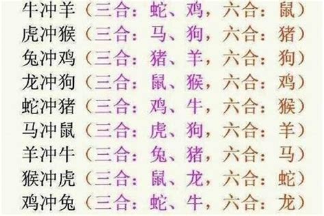 兔虎三合|十二生肖相冲、三合、六合